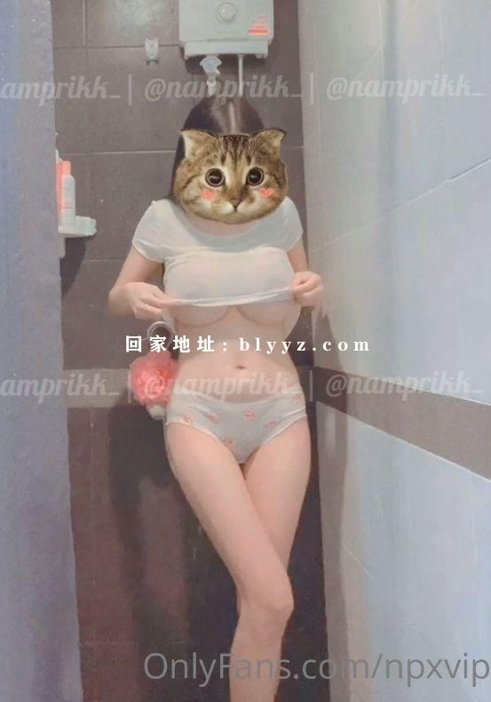 Onlyfans大奶牛博主Npxvip付费订阅福利视频写真资源流出  29.75G